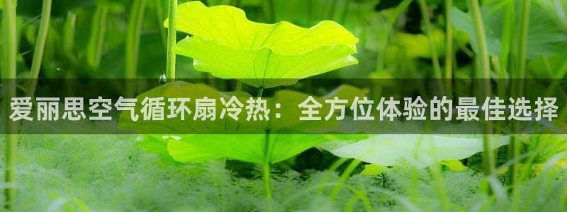 凯发k8娱乐手机版官网