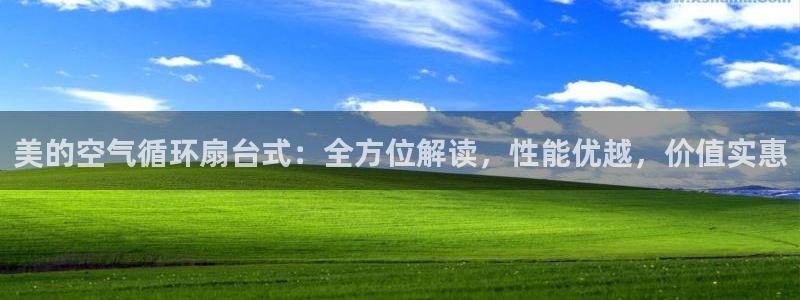 凯发k8娱乐官网入：美的空气循环扇台式：全方位解读，性能优越，价值实惠