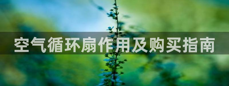 凯发手机客户端下载