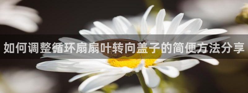 凯发娱乐k8下载：如何调整循环扇扇叶转向盖子的简便方法分享