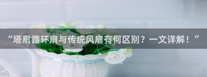 凯发k8娱乐网址多少：“塔扇循环扇与传统风扇有何区别？一文详解！”