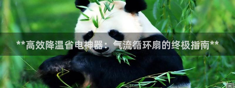 凯发国际网站：**高效降温省电神器：气流循环扇的终极指南**