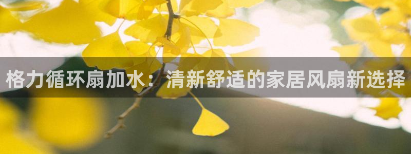 凯发国际平台