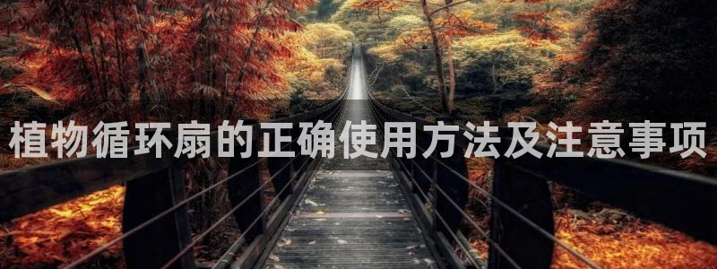 凯发在线平台官方网站：植物循环扇的正确使用方法及注意事项