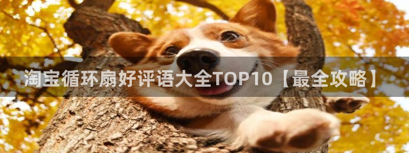 凯发k8天生赢家·一触即发：淘宝循环扇好评语大全TOP10【最全攻略】