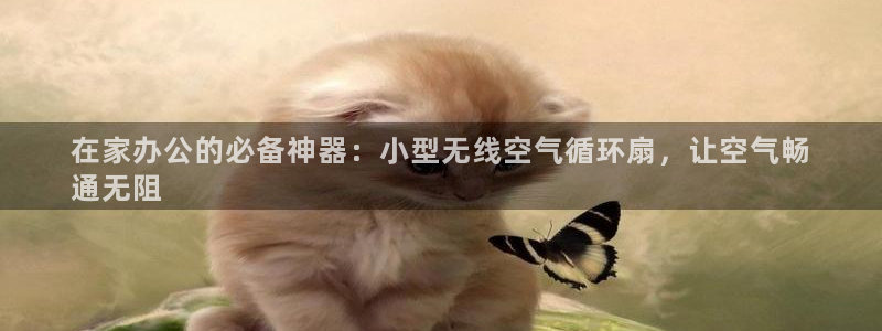 凯发线上app苹果版下载：在家办公的必备神器：小型无线空气循环扇，让空气畅
通无阻