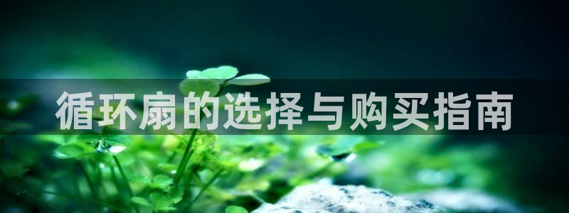 凯发旗舰网站
