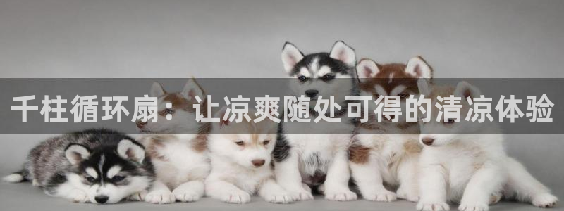 凯发正规网站
