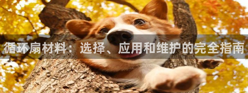 凯发k8旗舰厅app下载可靠送38元