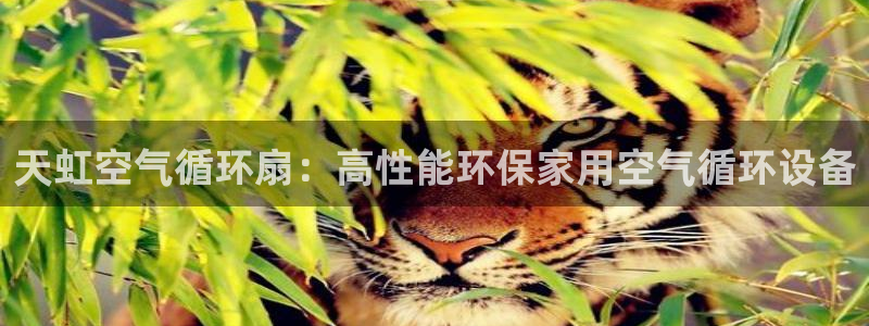 凯发官网地址