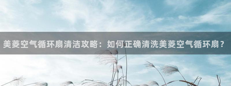 凯发官方手机app：美菱空气循环扇清洁攻略：如何正确清洗美菱空气循环扇？