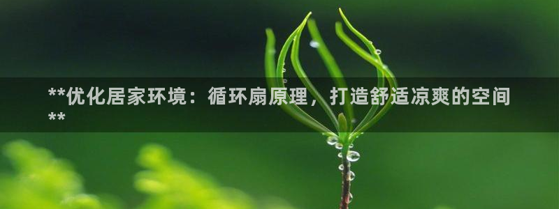 凯发国际是什么投资平台：**优化居家环境：循环扇原理，打造舒适凉爽的空间
**