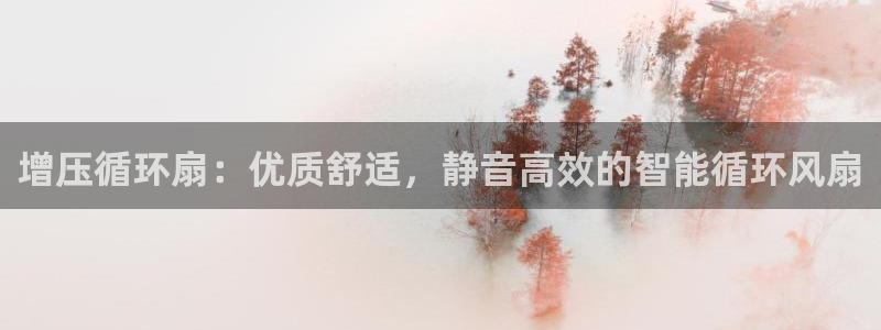 凯发k8国际官网可靠吗：增压循环扇：优质舒适，静音高效的智能循环风扇