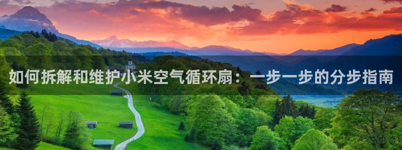 凯发k8国际真人娱乐旗舰厅：如何拆解和维护小米空气循环扇：一步一步的分步指南