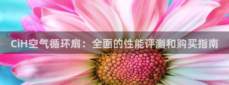 凯发k8娱乐平台能提现吗：CiH空气循环扇：全面的性能评测和购买指南