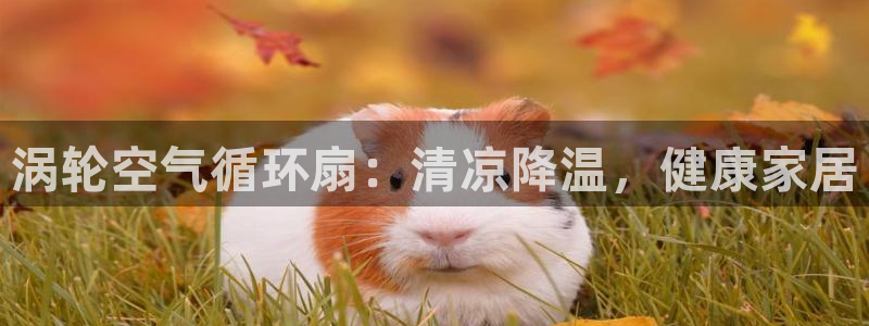 凯发k8手机是正品吗多少钱