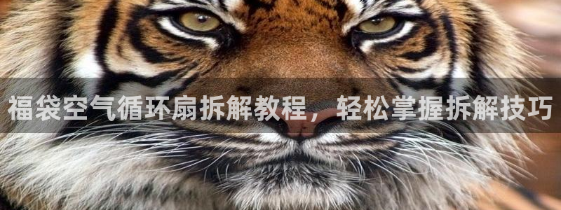 凯发网娱乐官网国际