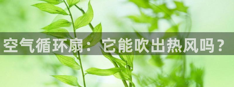 凯发k8国际不能提款了吗