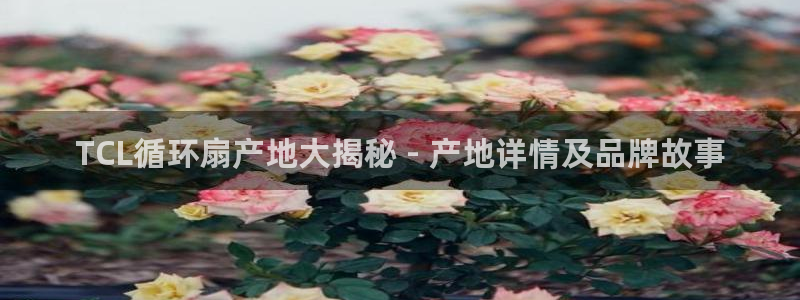 凯发国际怎么赚钱：TCL循环扇产地大揭秘 - 产地详情及品牌故事