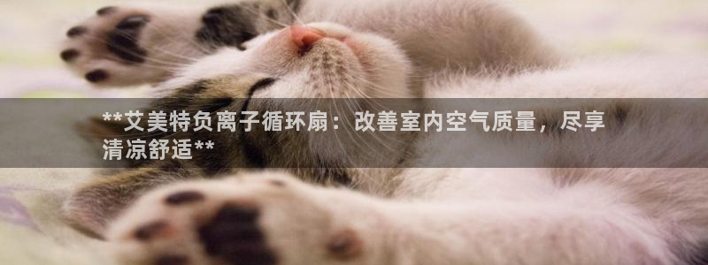 凯发k8国际首页登录：**艾美特负离子循环扇：改善室内空气质量，尽享
清凉舒适**
