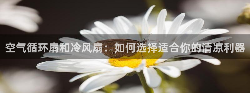 凯发官方网站下载：空气循环扇和冷风扇：如何选择适合你的清凉利器