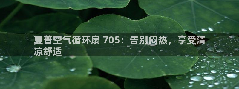 凯发国际是什么：夏普空气循环扇 705：告别闷热，享受清
凉舒适