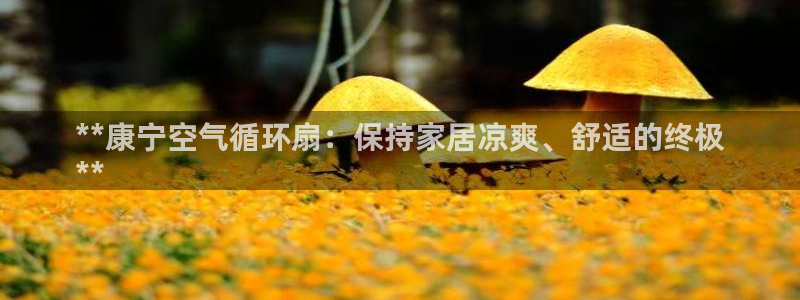 凯发k8娱乐欢迎您：**康宁空气循环扇：保持家居凉爽、舒适的终极
**