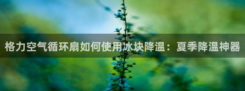 凯发k8娱乐要访问kf6819：格力空气循环扇如何使用冰块降温：夏季降温神器