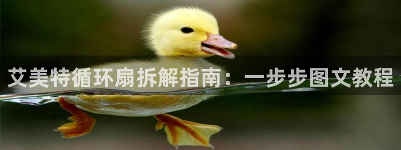 凯发手机app官网：艾美特循环扇拆解指南：一步步图文教程