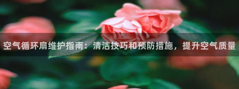 凯发K8旗舰厅：空气循环扇维护指南：清洁技巧和预防措施，提升空气质量