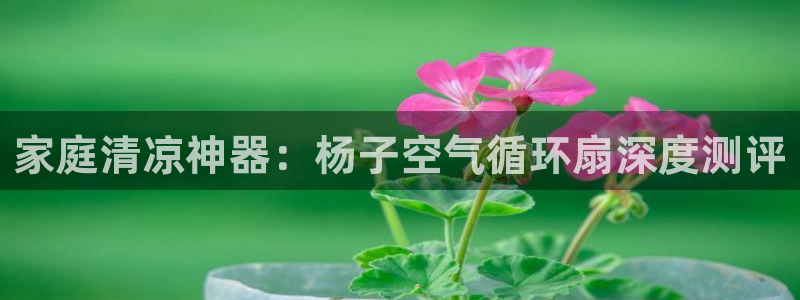 凯发K8旗舰厅：家庭清凉神器：杨子空气循环扇深度测评
