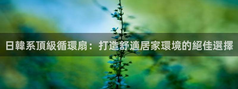 国际凯发k8真人版旗舰厅：日韓系頂級循環扇：打造舒適居家環境的絕佳選擇