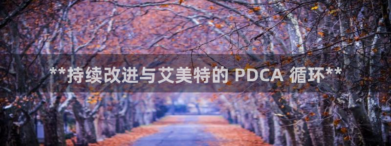 凯发官网入口首页：**持续改进与艾美特的 PDCA 循环**