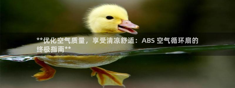 凯发k8娱乐官方下载：**优化空气质量，享受清凉舒适：ABS 空气循环扇的
终极指南**