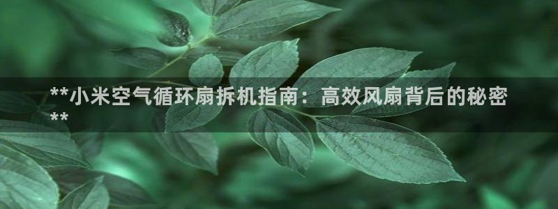 凯发k8国际下载：**小米空气循环扇拆机指南：高效风扇背后的秘密
**
