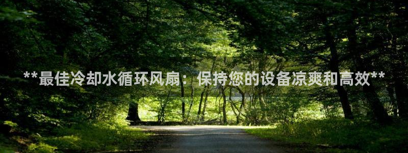 凯发官方在线：**最佳冷却水循环风扇：保持您的设备凉爽和高效**