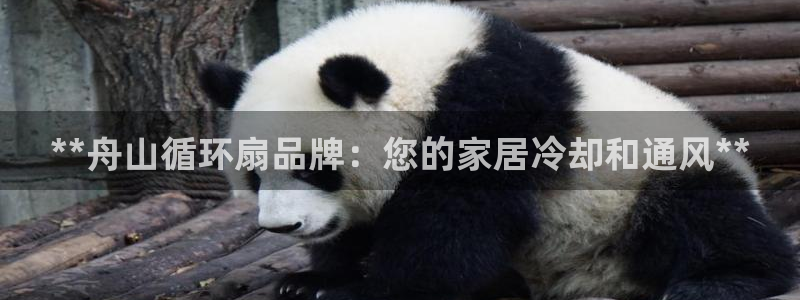 凯发国际官网下载：**舟山循环扇品牌：您的家居冷却和通风**