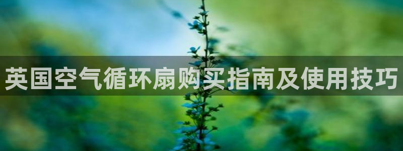 凯发k8娱乐旗舰厅：英国空气循环扇购买指南及使用技巧