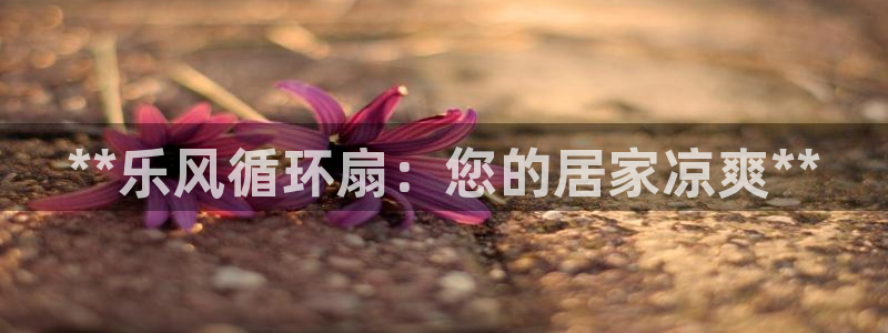 凯发k8国际下载：**乐风循环扇：您的居家凉爽**