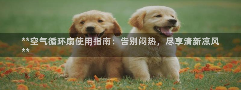 凯发k8国际真人版安全送38元：**空气循环扇使用指南：告别闷热，尽享清新凉风
**