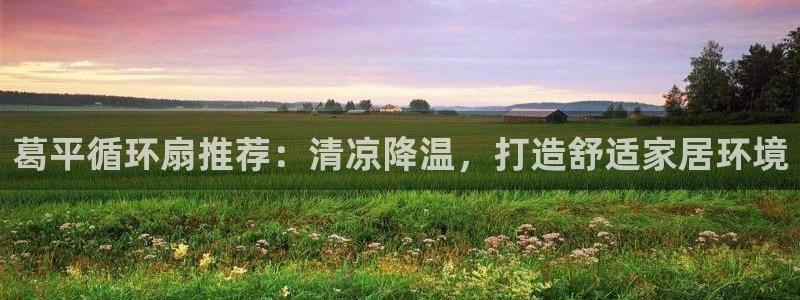 凯发k8全球公开：葛平循环扇推荐：清凉降温，打造舒适家居环境