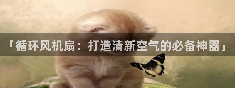 凯发k8娱乐平台能提现吗：「循环风机扇：打造清新空气的必备神器」