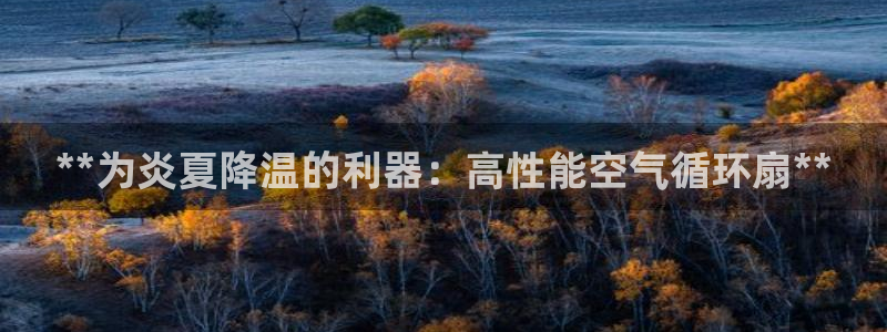 凯发k8网页登录：**为炎夏降温的利器：高性能空气循环扇**