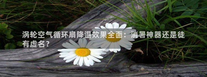 凯发网址登录：涡轮空气循环扇降温效果全面：消暑神器还是徒
有虚名？