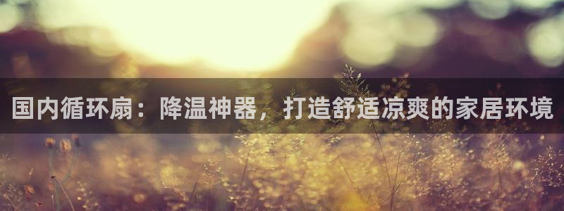 凯发k8娱乐现在还有吗：国内循环扇：降温神器，打造舒适凉爽的家居环境