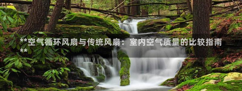 凯发K8天生赢家一触即发：**空气循环风扇与传统风扇：室内空气质量的比较指南
**