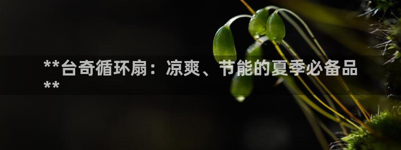 k8凯发官方找就送38：**台奇循环扇：凉爽、节能的夏季必备品
**