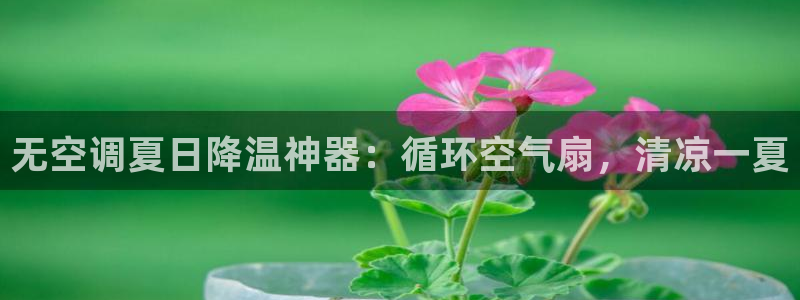 凯发注册平台安卓版下载：无空调夏日降温神器：循环空气扇，清凉一夏