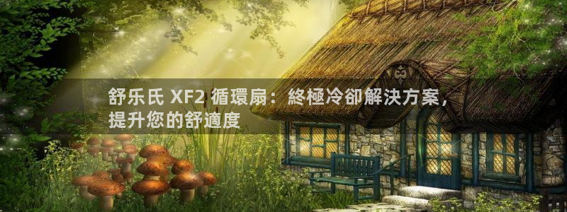 凯发国际怎么赚钱：舒乐氏 XF2 循環扇：終極冷卻解決方案，
提升您的舒適度