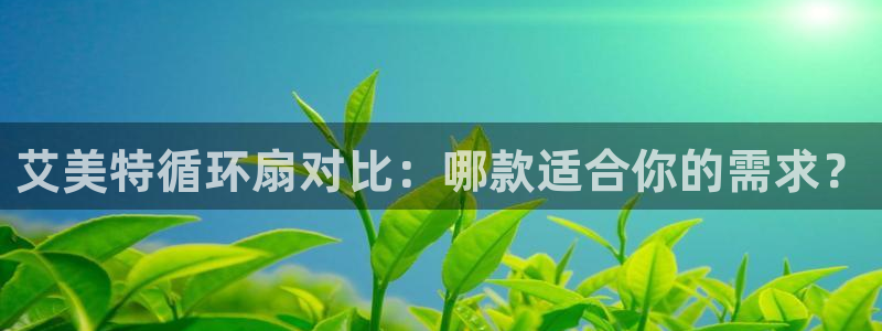 凯发k8娱乐官网手机端中心：艾美特循环扇对比：哪款适合你的需求？